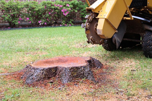 Image result for tree stump grinder