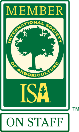 ISA Member Badge 