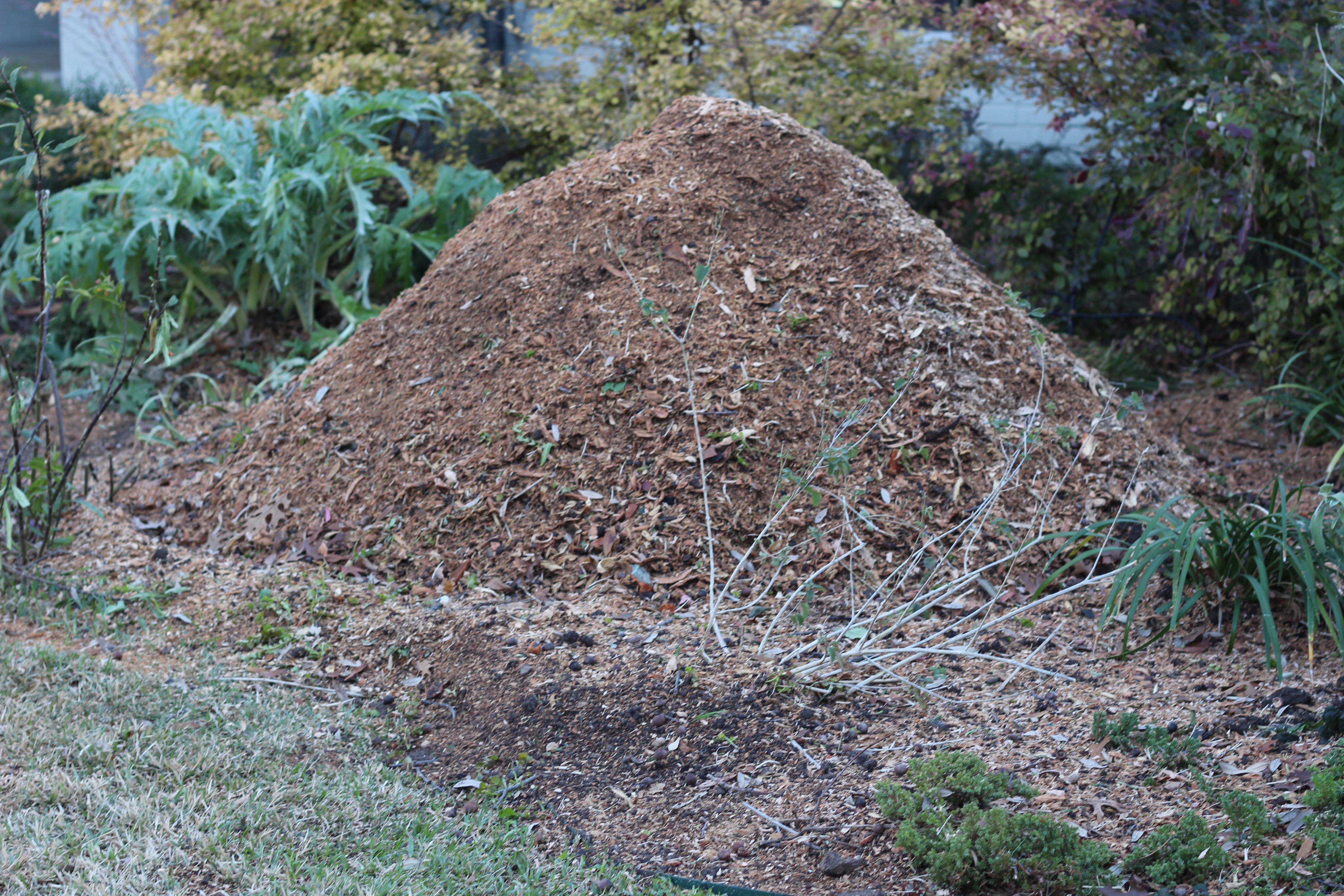 Mulch from ground stump