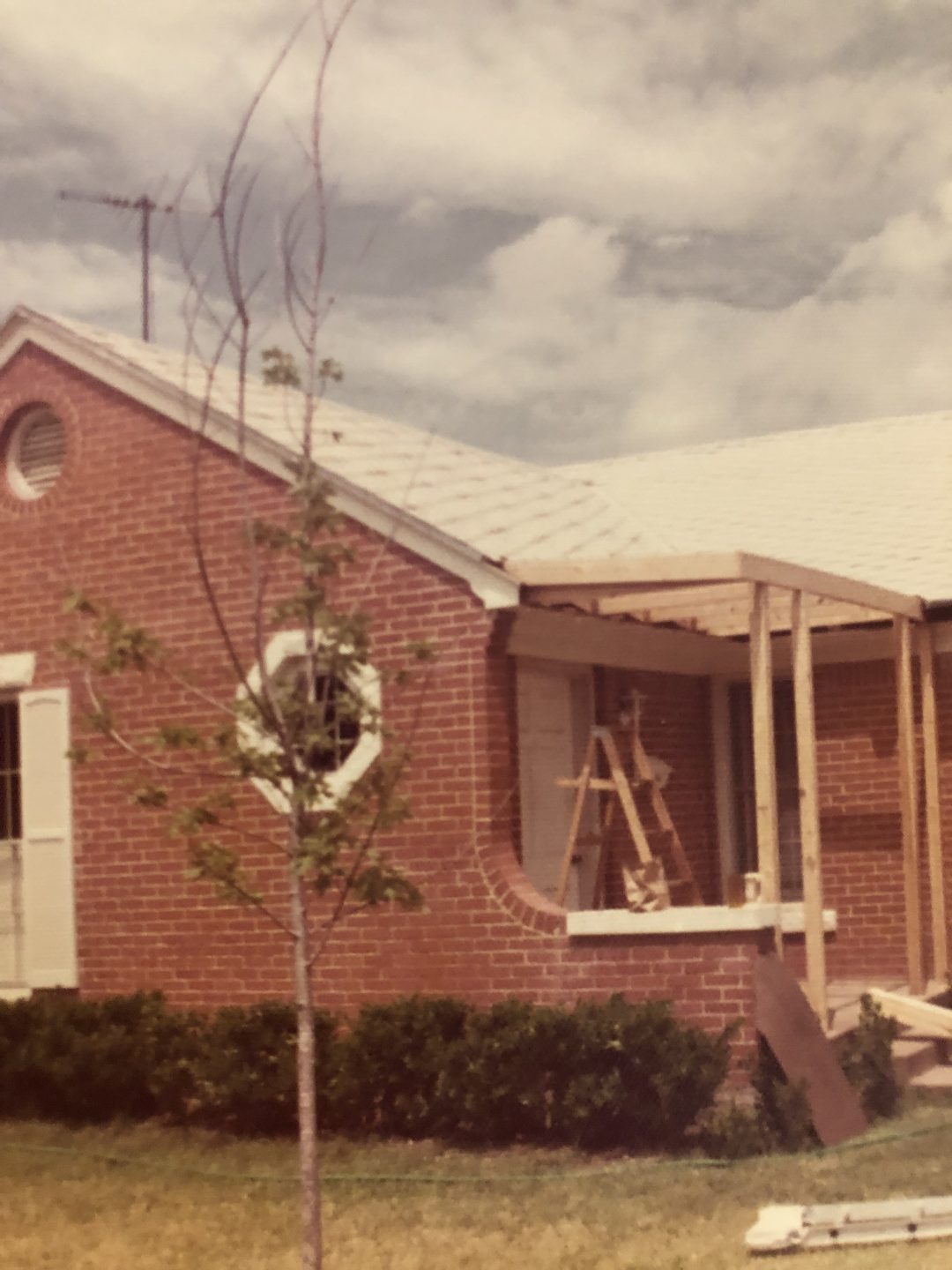 Tree Service Dallas TX Tree Trimming &amp; Removal Dallas