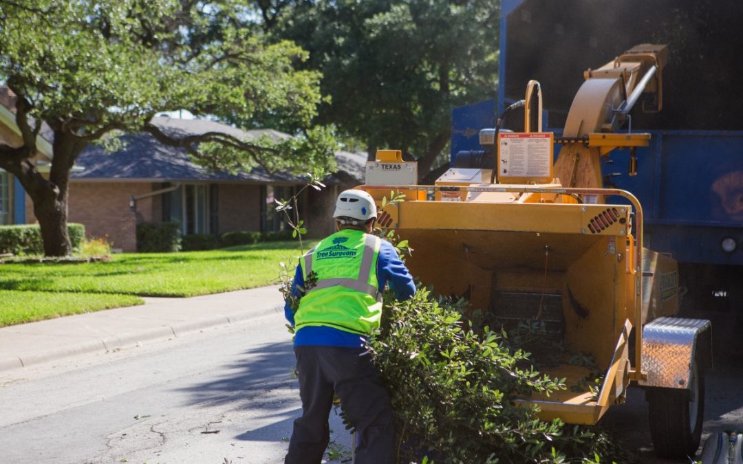 Why Does Storm Debris Cleanup Take So Long?