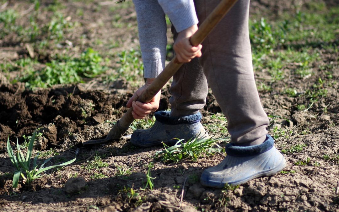 Person digging a hole