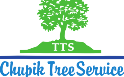 Chupik Tree Service is Now Part of the Texas Tree Surgeons Family!