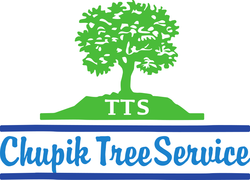 Chupik Tree Service is Now Part of the Texas Tree Surgeons Family!