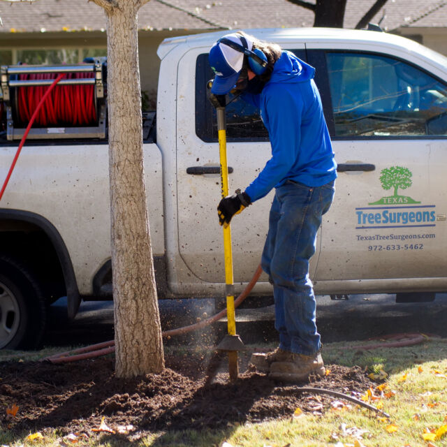 Tree Care Services, Tree Stump Removal 