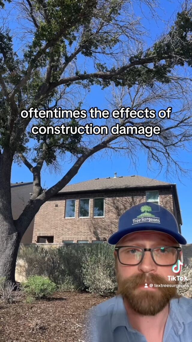 One of the last things people think about during construction is tree protection. Noticing only the surface layer of the tree we forget the huge impact roots have on a trees overall health. The fact is construction damage is one of the top killers of urban trees.