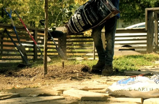 Skip the rocks around the base of your tree. Using mulch will provide a wealth of benefits for your tree. 

#mulch #howto #video #treecare

https://texastreesurgeons.com/mulch-benefits/