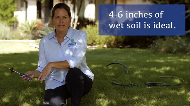 October has been extremely dry. Even though its getting cooler finally we are still in a drought. Regularly water your trees.  Make sure to wet the soil to a depth of 4-6 inches. Not sure if your tree is getting enough water? Check out our resources for more tips.

#drought #treecare #howto #Arborist #video #watering

https://texastreesurgeons.com/blog/2023/09/19/how-to-water-your-tree-during-a-drought/