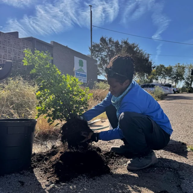 Happy Arbor Day! We are beautifying our office with some ornamental trees.

What are you planting? 

🌳 https://texastreesurgeons.com/ornamental-trees-dallas/

#arborday #texasarborday #ornamentaltree #northtexas #welovetrees #tree