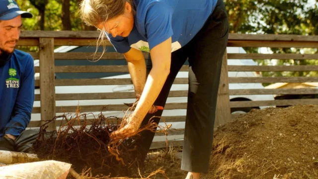 We hope everyone was able to get their free trees from Branch Out Dallas or from other free tree programs in our community. Once you have your tree don't forget to plant it. Follow these step to ensure a happy healthy tree. 

#howto #planting

https://texastreesurgeons.com/plant-a-tree/