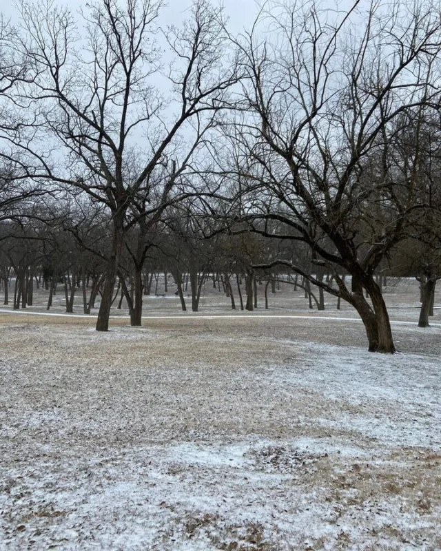 The DFW Metroplex is expecting snow, sleet, and freezing rain. What can you do NOW to help protect your trees from extreme cold.

#arboristservices #wintertreecare #Freezedamagedtrees #Arborist #sleet #freezethawcracks #freezingrain #snow

https://texastreesurgeons.com/freeze-effects-on-trees/