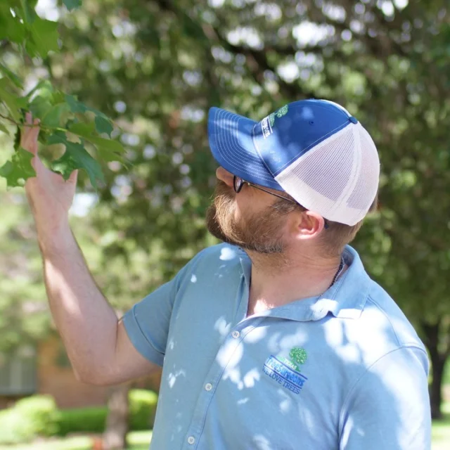 “Arboriculture” is the science of caring for trees, and people who care for trees are called “arborists.”

Arborist services encompass everything related to the care and maintenance of trees. This includes pruning, disease management, fertilization, and in some cases, tree removal. Think of arborists as the surgeons of the tree world, ensuring each branch and leaf is healthy.

#welovetrees #arboristservices #constructionprotection #trimming #consultingarborist #treeremoval #treehealthcare

https://texastreesurgeons.com/arborist-services-tree-care/