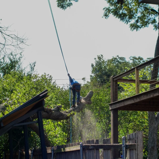 Being proactive in regular tree maintenance can help you avoid emergency tree removal due to storm damage.
#emergency #emergencyremoval #ISAcertifiedArborist #arboristservices #emergencytreework

https://texastreesurgeons.com/emergency-tree-removal-reasons/