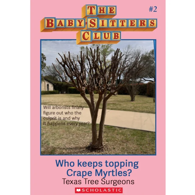In all seriousness, who keeps doing this?

🫣https://texastreesurgeons.com/topping-is-bad/