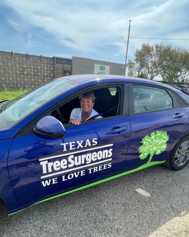 If you see a Texas Tree Surgeon’s car in the wild send us a photo and we will send you a "honk if you love trees" or "grasshole" bumper sticker.