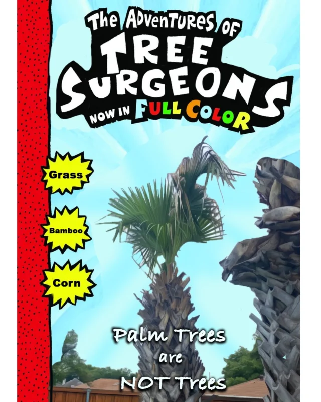 We get it's kinda confusing, but palm trees are not actually trees.

https://texastreesurgeons.com/palm-trees-are-not-trees/