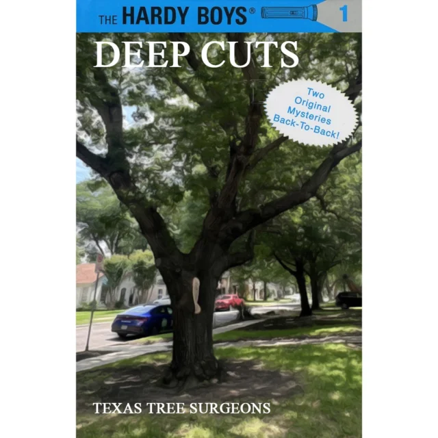 We typically love a good mystery, but not when we know the answer.

Save your trees, save your money, hire a certified arborist for your tree care.

https://texastreesurgeons.com/arborist-near-me-questions/