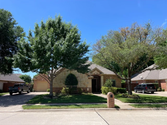 Just because it is now safe to trim oak trees without fear of oak wilt transmission does not mean it is always the best choice; this is especially true for stressed oak trees, and trees with thinner bark and leaves. #oaks #oaktrees #summertreecare #oakwilt

https://texastreesurgeons.com/summer-care-for-oak-trees