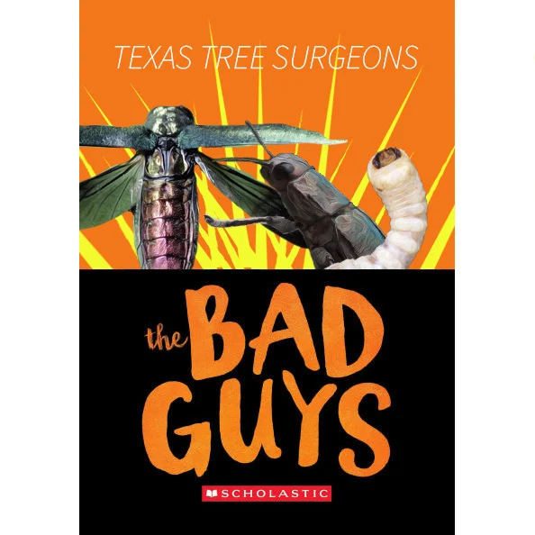 By the time external symptoms appear, internal damage from borers is often advanced. That’s why prevention, routine monitoring, and stress management are critical to protect your trees from these bad guys.

🌳 https://texastreesurgeons.com/protecting-trees-from-borers/