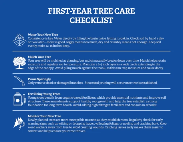 Congrats on your new tree, but planting is only the beginning. The first year matters most in a trees long-term survival. The key to success shouldn't be too surprising; water consistently, mulch, limit pruning, and watch for signs of stress.

#howto #guide #treeplanting #treeguide

https://texastreesurgeons.com/how-to-take-care-of-a-recently-planted-tree/
