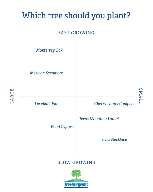 In addition to size, what else are you looking for in a tree? A tree that grows quickly or maybe something that flowers? 

https://texastreesurgeons.com/which-tree-should-you-plant/