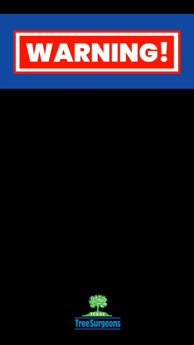 This is a list of tree care worst practices that you, or someone you know may be guilty of. Read the following list at your own risk. You’ve been warned, feelings may get hurt. How guilty are you? #welovetrees #certifiedarborist #brutalhonesty