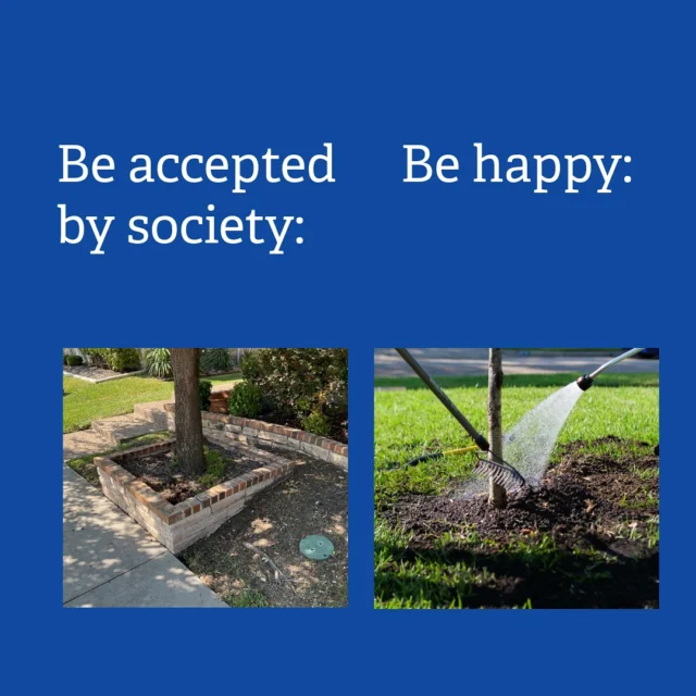 If you were gonna chose one….