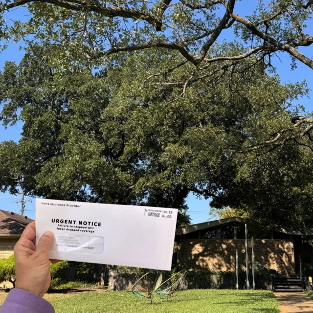 It’s becoming way too common, especially in Texas homeowners receiving a threatening letter from their insurance company to drastically remove all tree limbs over a structure to prevent them from falling onto the house.

Don’t let their threat make you react out of fear, you actually have options. We have science backed answers.

#structuralpruning #emergencytreework #liontailing #treefailure #homeinsurance #Topping

https://texastreesurgeons.com/facts-about-home-insurance-trees/