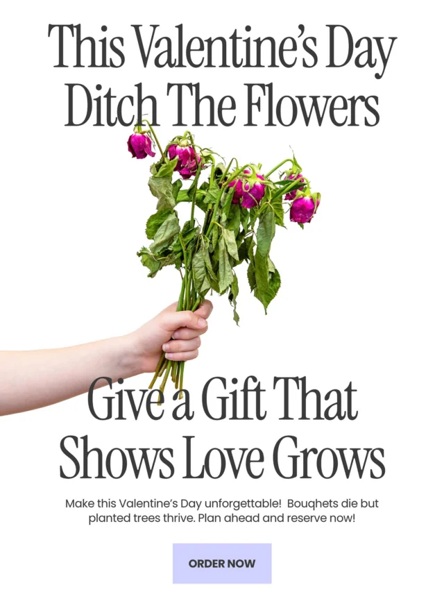 No more flowers, no more chocolates, you know what people really want? 

Something that lasts, something that’s gonna live on.

Get the hint, plant a tree. 

https://texastreesurgeons.com/tree-planting/

#welovetrees