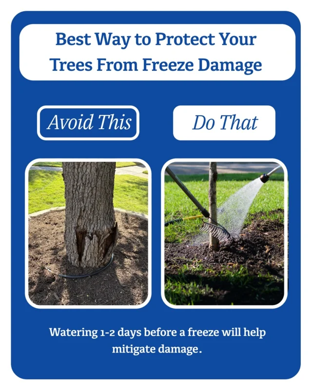 Tomorrow snow is forecasted. Are you ready?