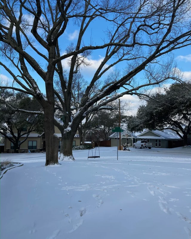 The DFW Metroplex is expecting snow, sleet, and freezing rain. WATER your trees NOW and make sure to TURN OFF your sprinkler systems. 
#wintertreecare #snow #freezingrain #arboristservices #freezethawcracks #sleet #Arborist #Freezedamagedtrees

https://texastreesurgeons.com/blog/2025/01/09/freeze-effects-on-trees/
