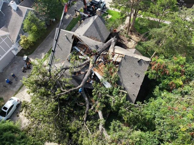 When emergencies occur, we’re here to help with trusted expertise, professional care, and a focus on protecting both people and property. Through preventative tree care and guidance from qualified arborists, homeowners can manage risk while preserving the long-term value of healthy trees.

https://texastreesurgeons.com/emergency-tree-services-a-guide-to-safety-and-recovery/