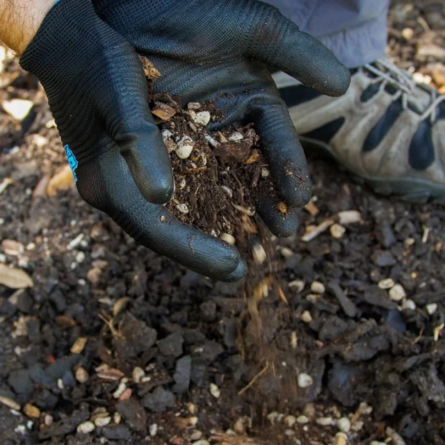 Healthy Soil = Healthy Trees
#soilcompaction #treeplanting #soilsampling #urbansoil #soil #soilacidity #soiltype #soilamendment #urbantrees

https://texastreesurgeons.com/blog/2026/09/16/how-does-soil-quality-affect-tree-planting-in-north-texas/