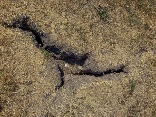 You can water a tree all you want but if the fine roots are too damaged to absorb anything it will not improve your tree’s health.

https://texastreesurgeons.com/?p=5943