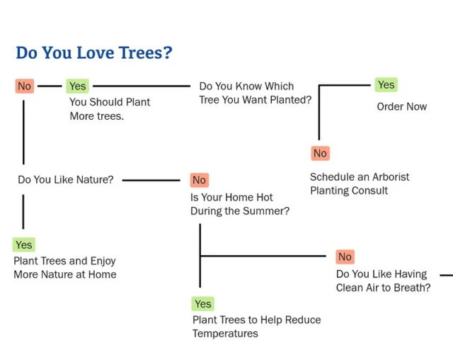 Do you love trees? Better yet, do you love clean air? How about cooling off under the shade of a tree on a hot day? Do you love nature? Saving money? Making money? Do you wanna improve your mental health and well-being? The list goes on. Trees add so many benefits to our neighborhoods and our well being. What would you add?